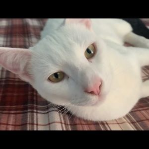 Meet your Posher, Deborah